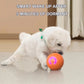 🎁Διαδραστική μπάλα Smart Pet Bounce🐶