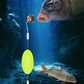 🎣⚡ Σύνθετο αγκίστρι με διπλό άγκιστρο και αντίστροφη διάταξη! Η βελτιωμένη έκδοση αυξάνει το ποσοστό πιάσματος κατά 50% 🎣