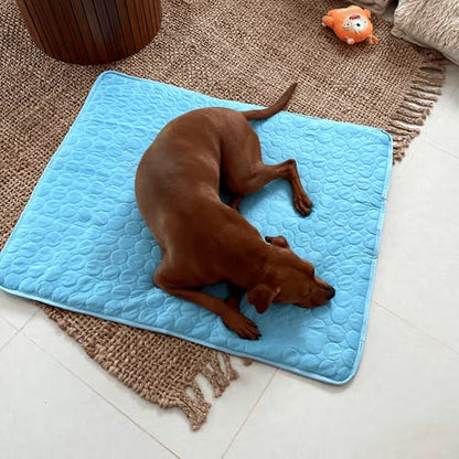 🐶 Μαξιλάρι ψύξης για σκύλους – 4 φορές πιο αποτελεσματική ψύξη για τις ζεστές μέρες του καλοκαιριού ❄️✨