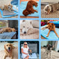 🐶 Μαξιλάρι ψύξης για σκύλους – 4 φορές πιο αποτελεσματική ψύξη για τις ζεστές μέρες του καλοκαιριού ❄️✨