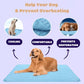 🐶 Μαξιλάρι ψύξης για σκύλους – 4 φορές πιο αποτελεσματική ψύξη για τις ζεστές μέρες του καλοκαιριού ❄️✨