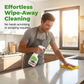 🥳SUMMER HOT SALE🥳👍🏻Heavy Duty Kitchen Degreaser Spray